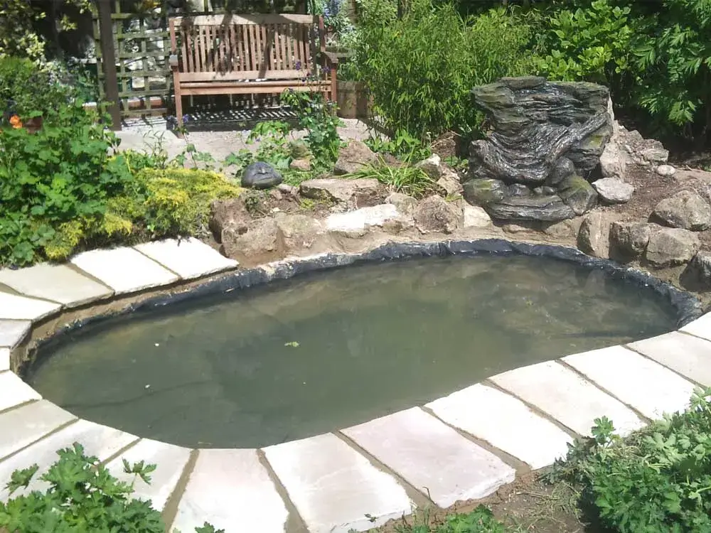 garden pond surrounded by patio